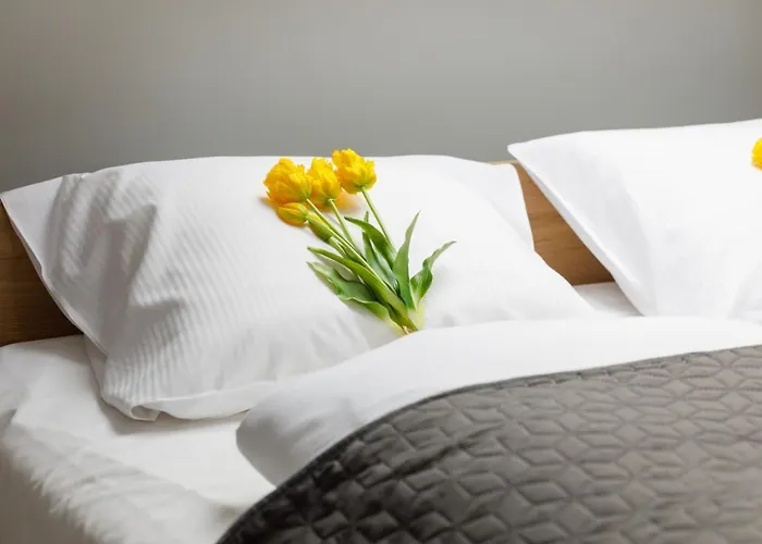 Rybacka With Parking&balcony By Renters * Międzywodzie